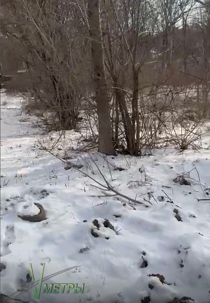 Объявление 22500100772 Объявление 22500100772