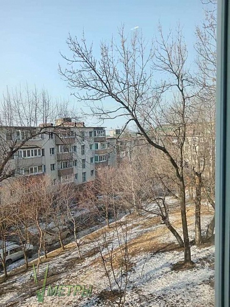 Объявление 12500101841 Объявление 12500101841